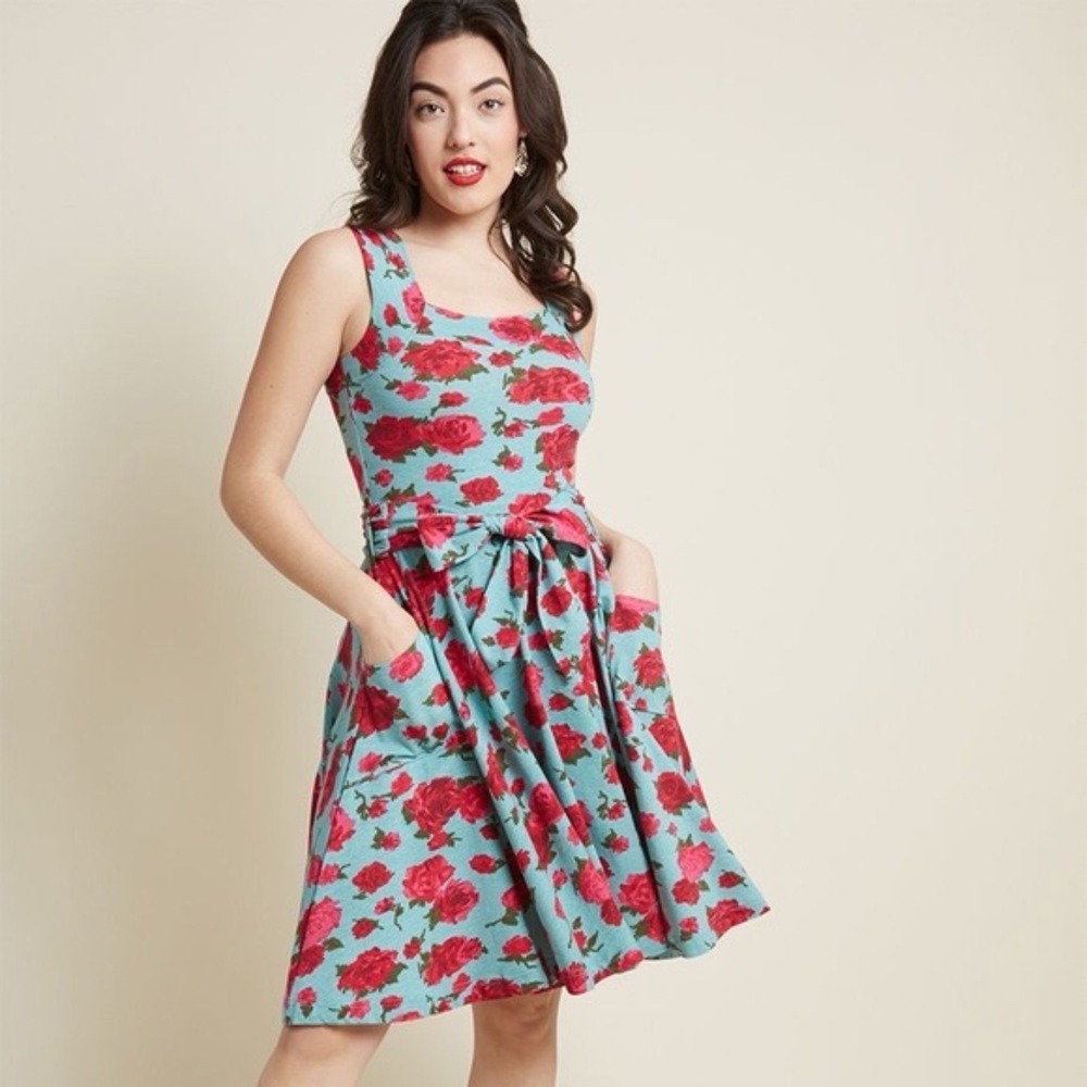 Effie’s Heart Rose Print Fit & Flare Dress XS Blue Pink Floral Pockets Retro